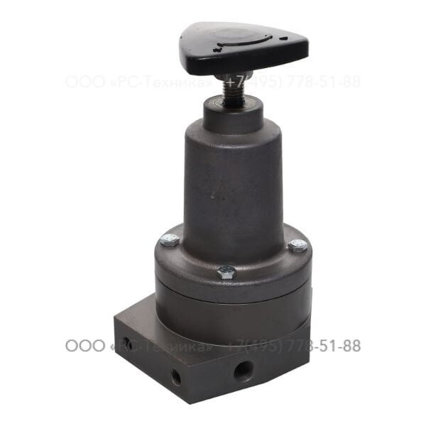 1094100481 RUGUL VALVE