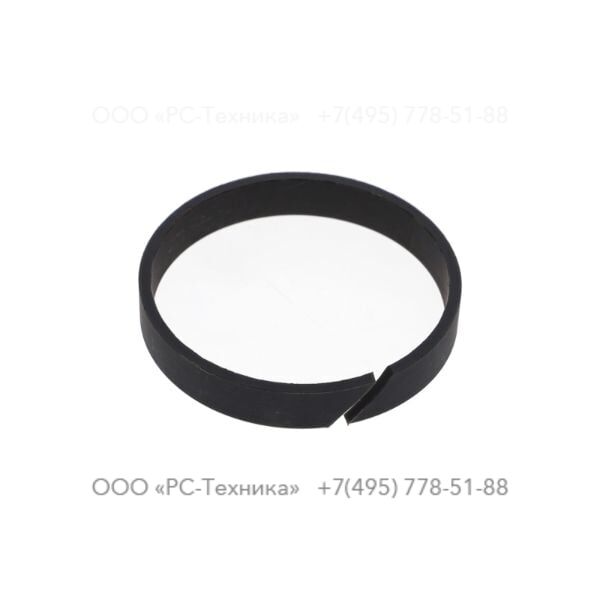 3310136300 GUIDE RING