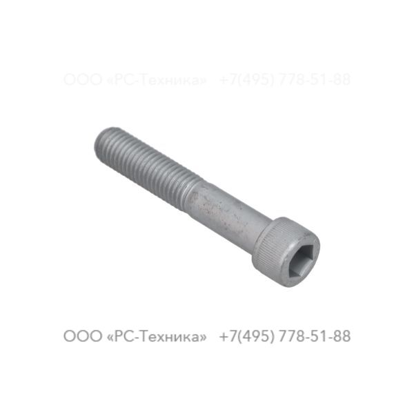 0211196316 HEX. SOCK M12X70X12.9