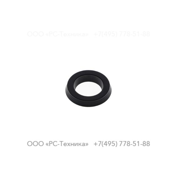 4810058002 INTERNAL RING