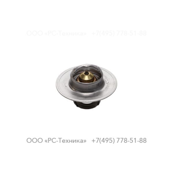 2914200252 THERMOSTATIC VALVE