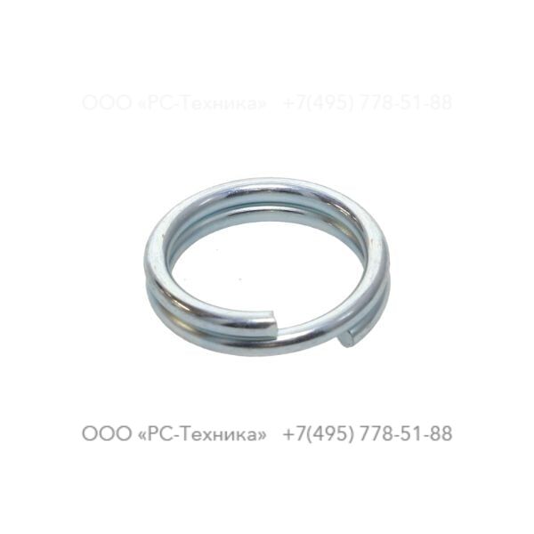 2900042400 RING