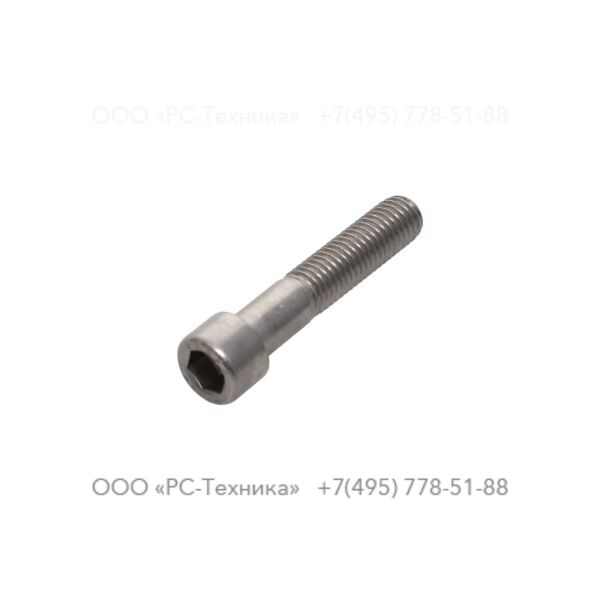 4810001917 SCREW