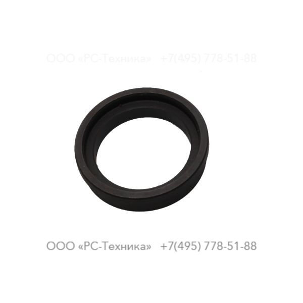 3122017500 GUIDE RING