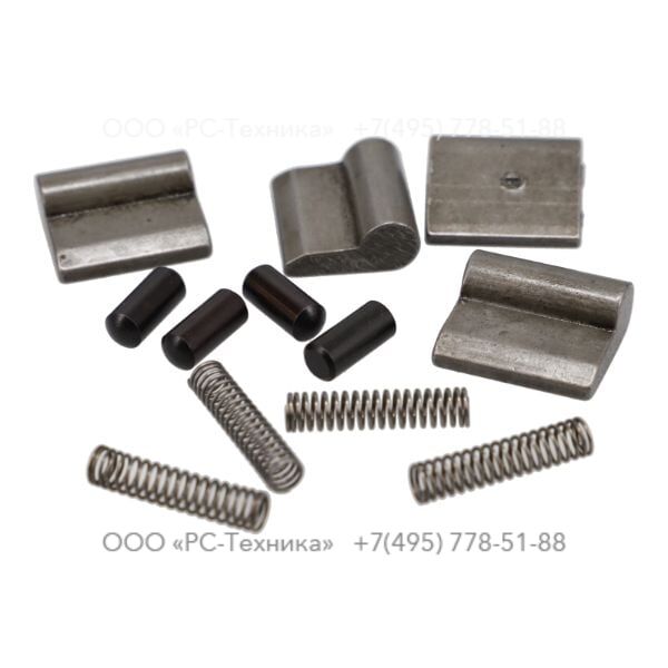 3115920090 PAWL SET