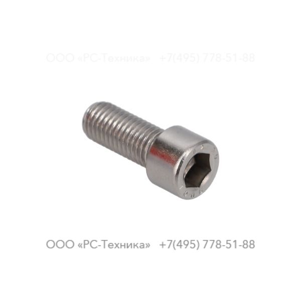 4810001914 SCREW