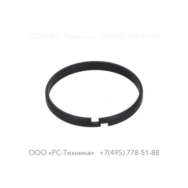 1619376000 PISTON RING