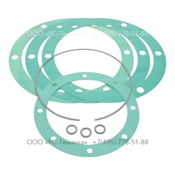 4810080251 GASKET KIT