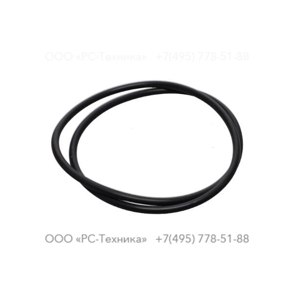 2205262546 FLUORO. O-RING 236X5.3