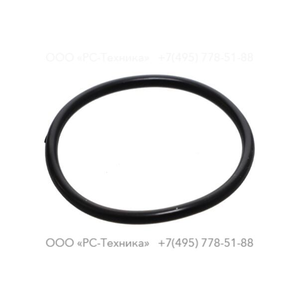 2205431426 O-RING FLUORIDE