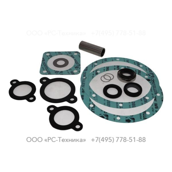 4810077679 SEAL KIT