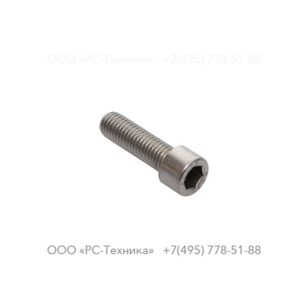 4810001915 SCREW