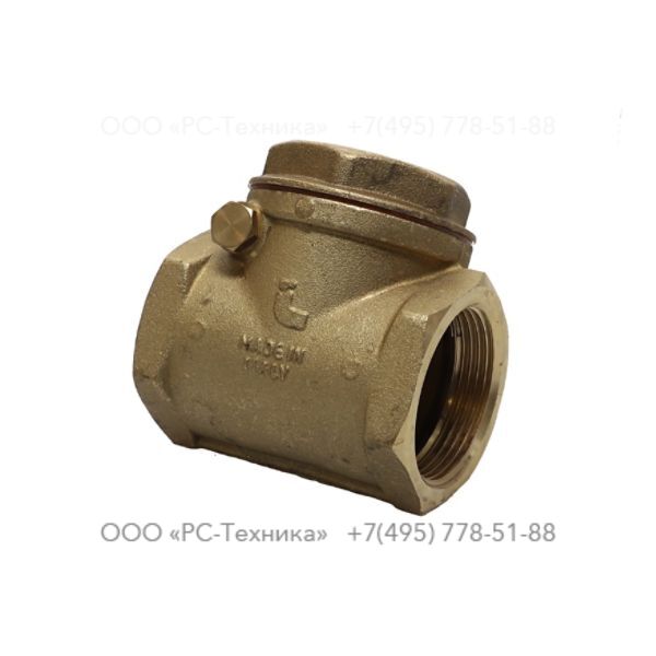 4810030886 CHECH VALVE