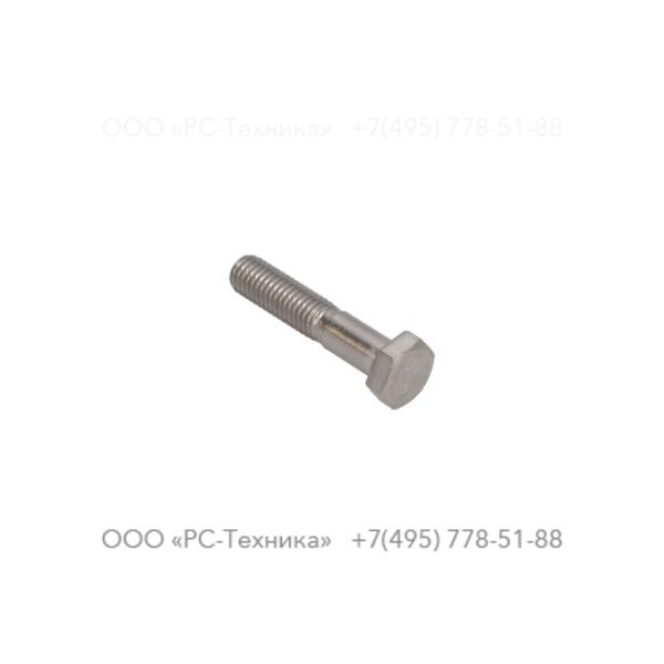 4810002036 SCREW