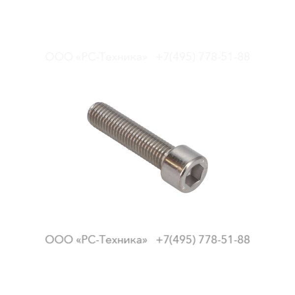 4810069457 SCREW