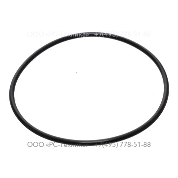 1607856408 O-RING 4+ SAE 61