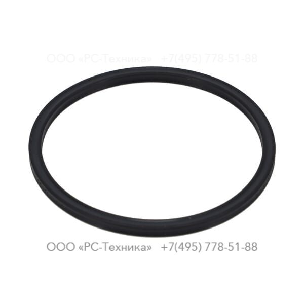 4810072654 COOLANT PUMP O-RING