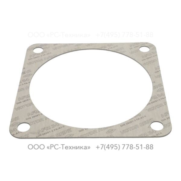 4810064432 FLANGE GASKET