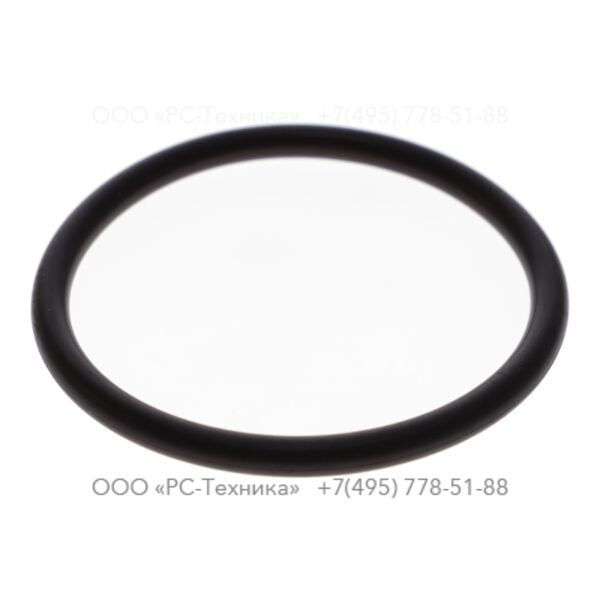 1619781100 SEAL RING