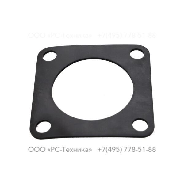 4810005676 GASKET