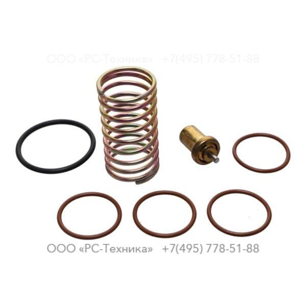 2205526520 THERMOSTATIC VALVE KIT