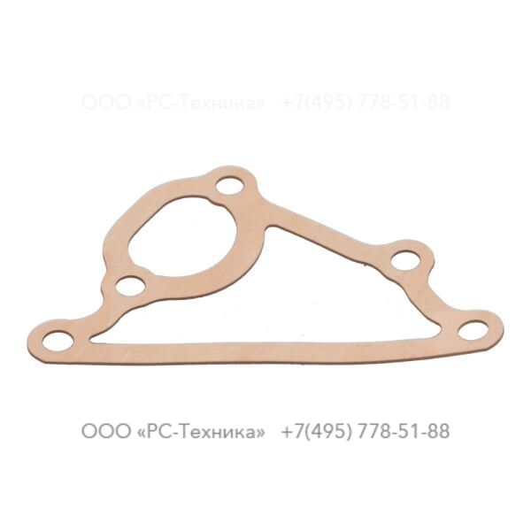 1636300057 WATER PUMP GASKET