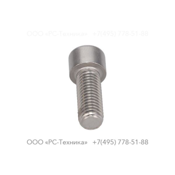 4810001914 SCREW