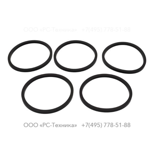 1636330199 SEAL RING (WATER PUMP)