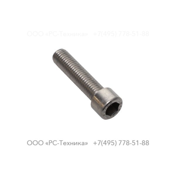 4810001916 SCREW