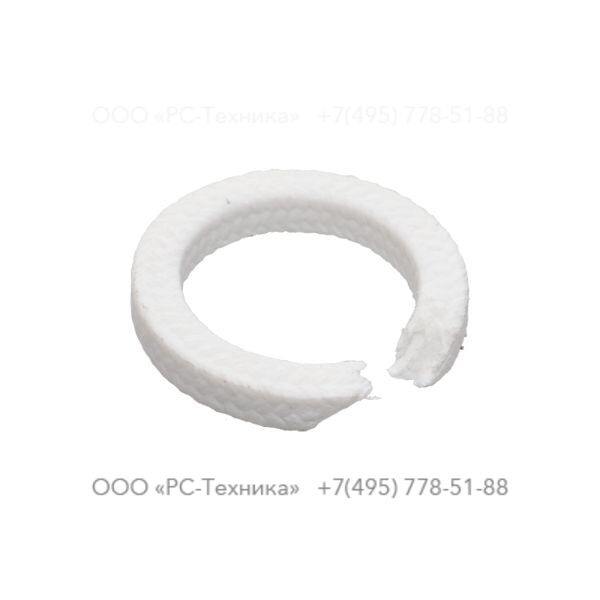 4810000009 PACKING GLAND