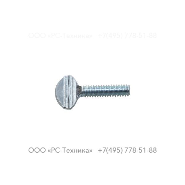 4810068601 SCREW