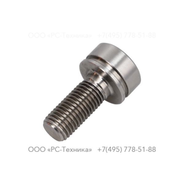 4810074789 SCREW