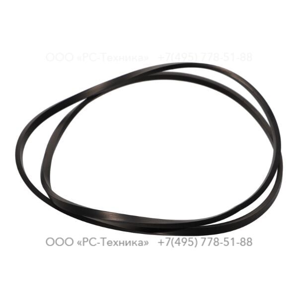 3081602596 SEAL RING