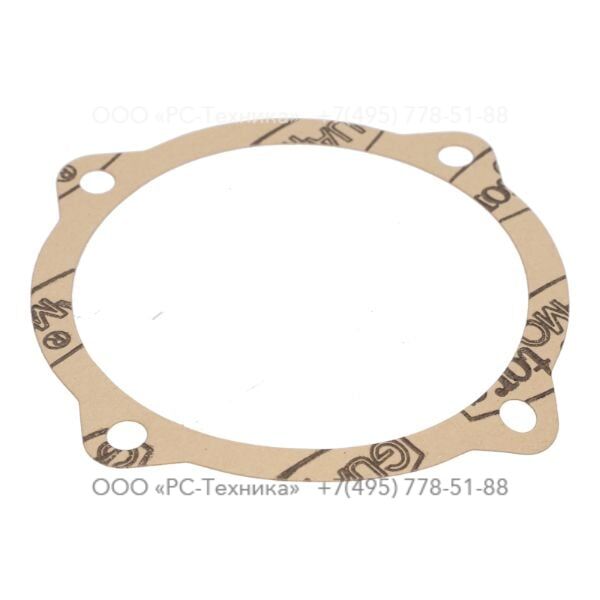 4810005542 PAPER GASKET