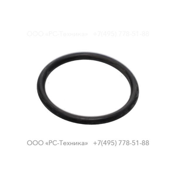 0663919100 ORING ID 37.69MM