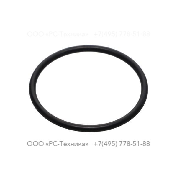 4810060222 O-RING