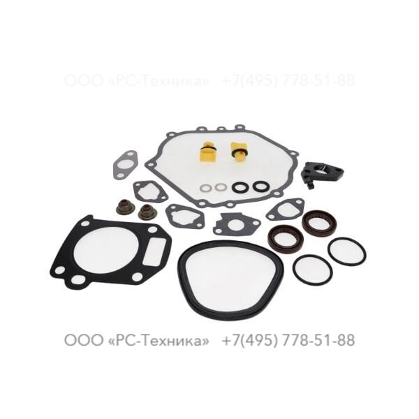 4810066495 KIT GASKET