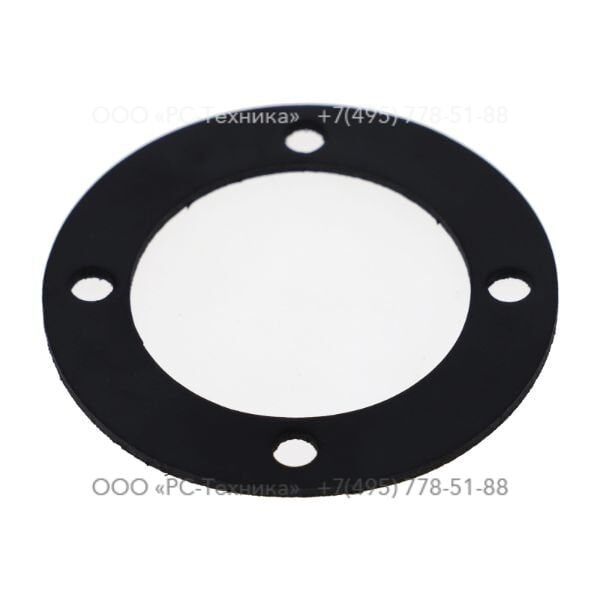 4810005718 GASKET