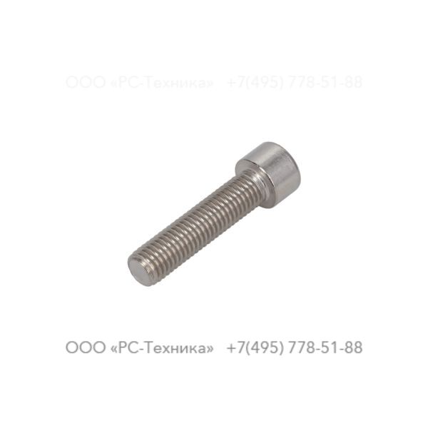 4810069457 SCREW