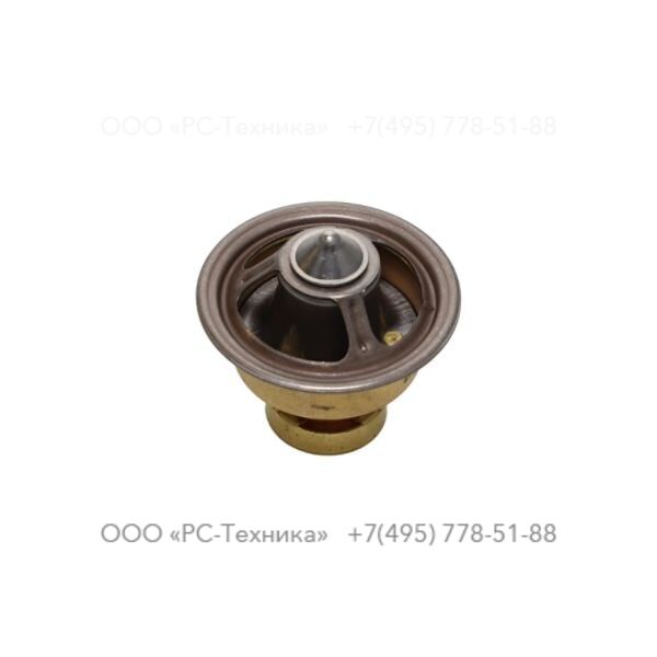 2914200266 THERMOSTATIC VALVE