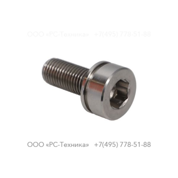 4810074789 SCREW