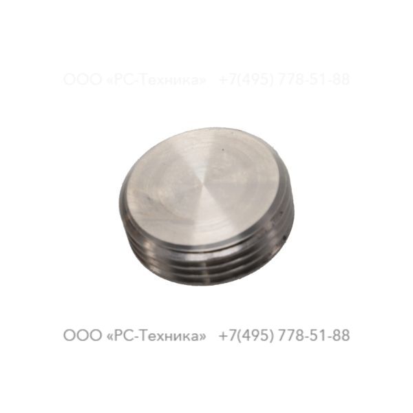 4810075336 IMPELLER PLUG