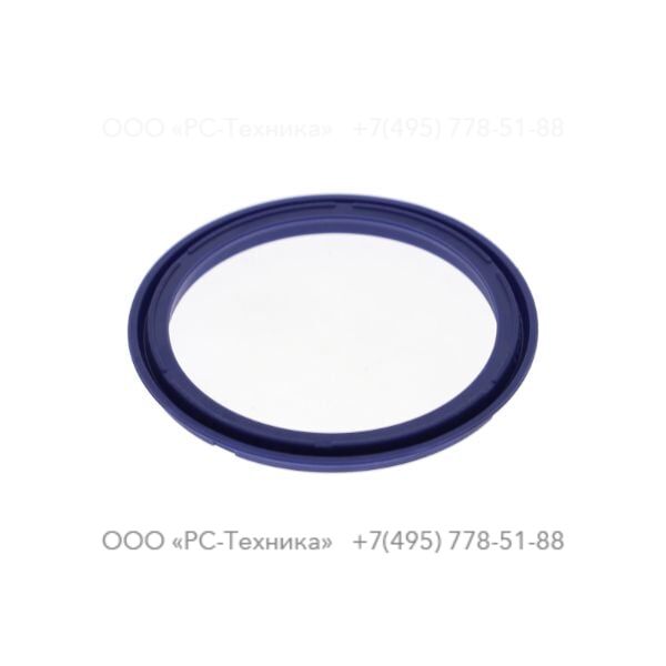 0665099954 PISTON SEAL