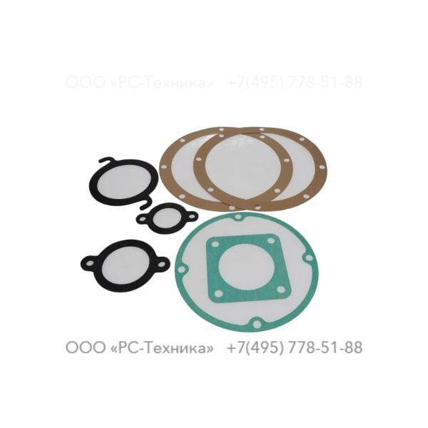 4810014162 SET OF GASKETS - PUMP