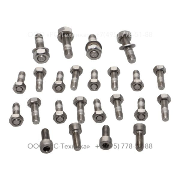 4810014387 SET OF SCREWS - PUMP