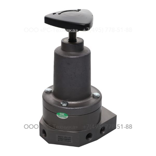 1094100481 RUGUL VALVE