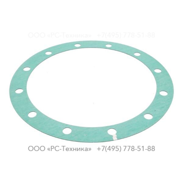 1202934100 GASKET