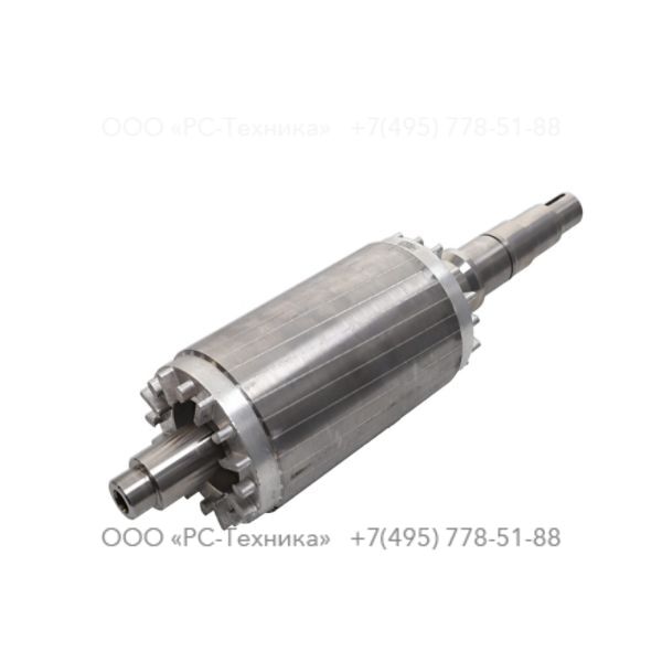 3081602483 ROTOR D70