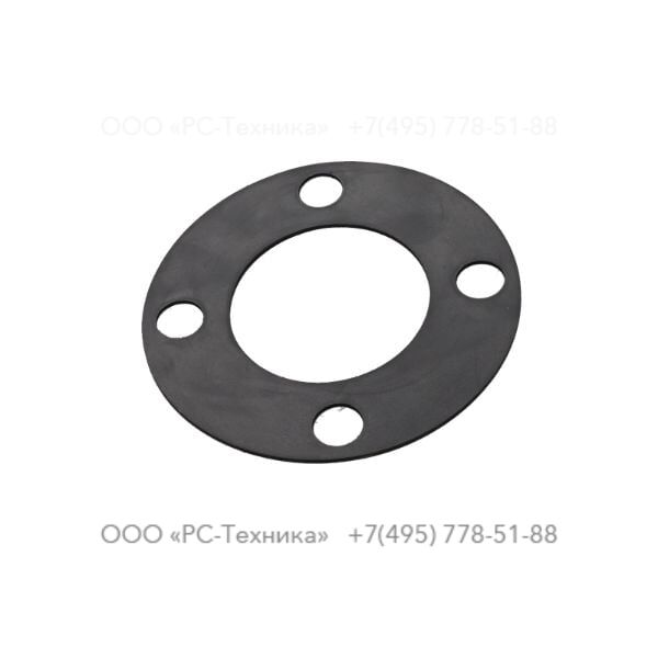 4810024989 GASKET