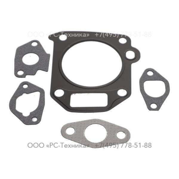 4810066494 GASKET HEAD CH395